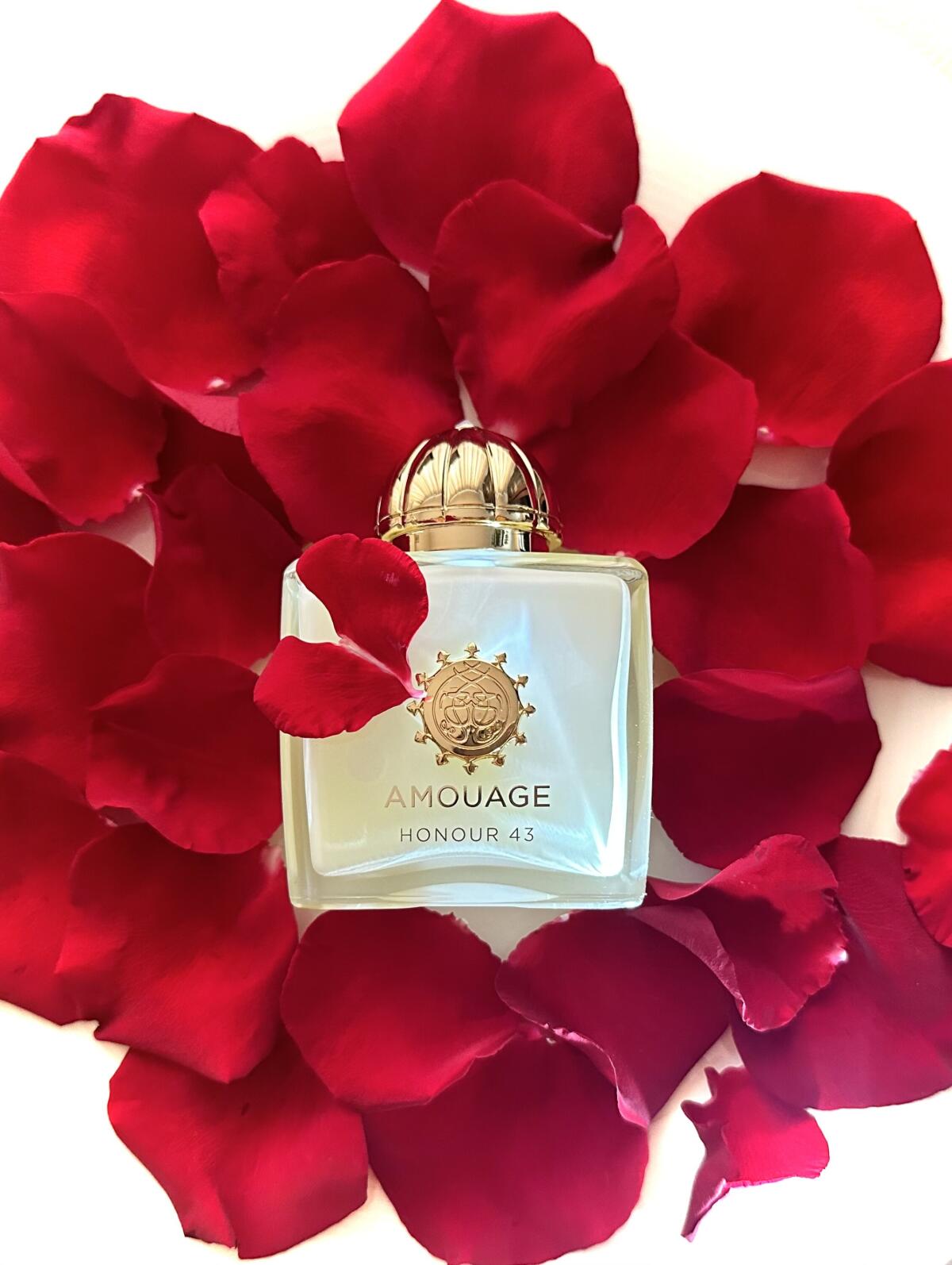 Amouage Honour 43 Woman Extrai - огляд і ціна Perfume Fragrance Families